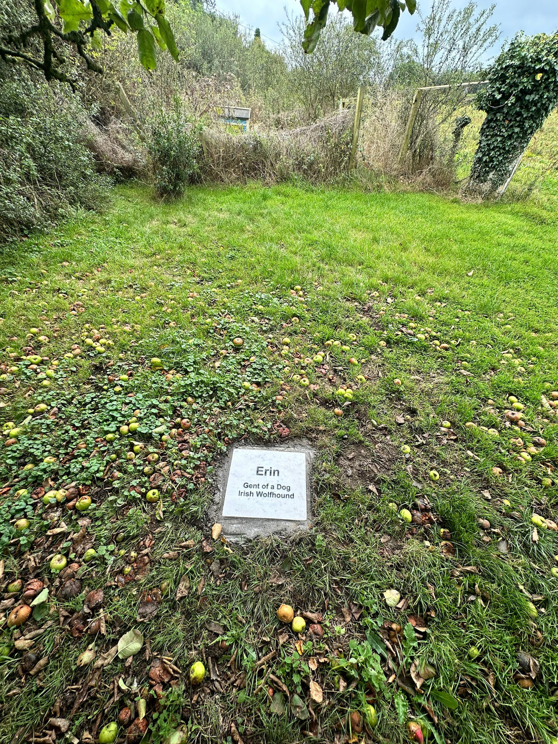 Beautiful Irish Pet Memorials – Handcrafted White Marble Plaques by Tayens Memorials